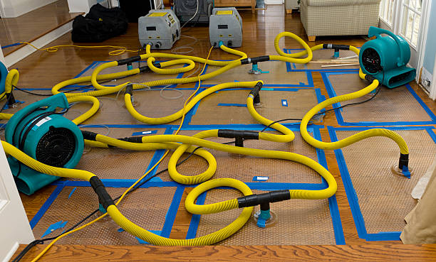 Professional Basement Flood Cleanup technician working in Seguin, TX